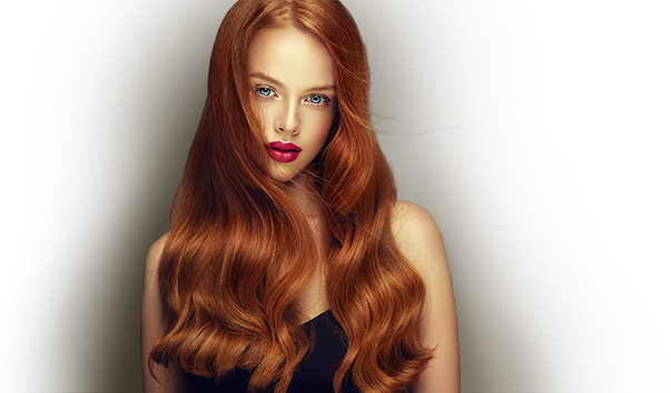 Custom Lace-Wigs header image